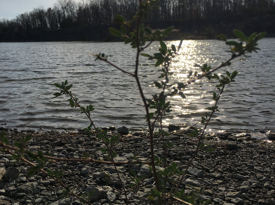 Wainfleet Wetlands Conservation Area-Wainfleet必去景点