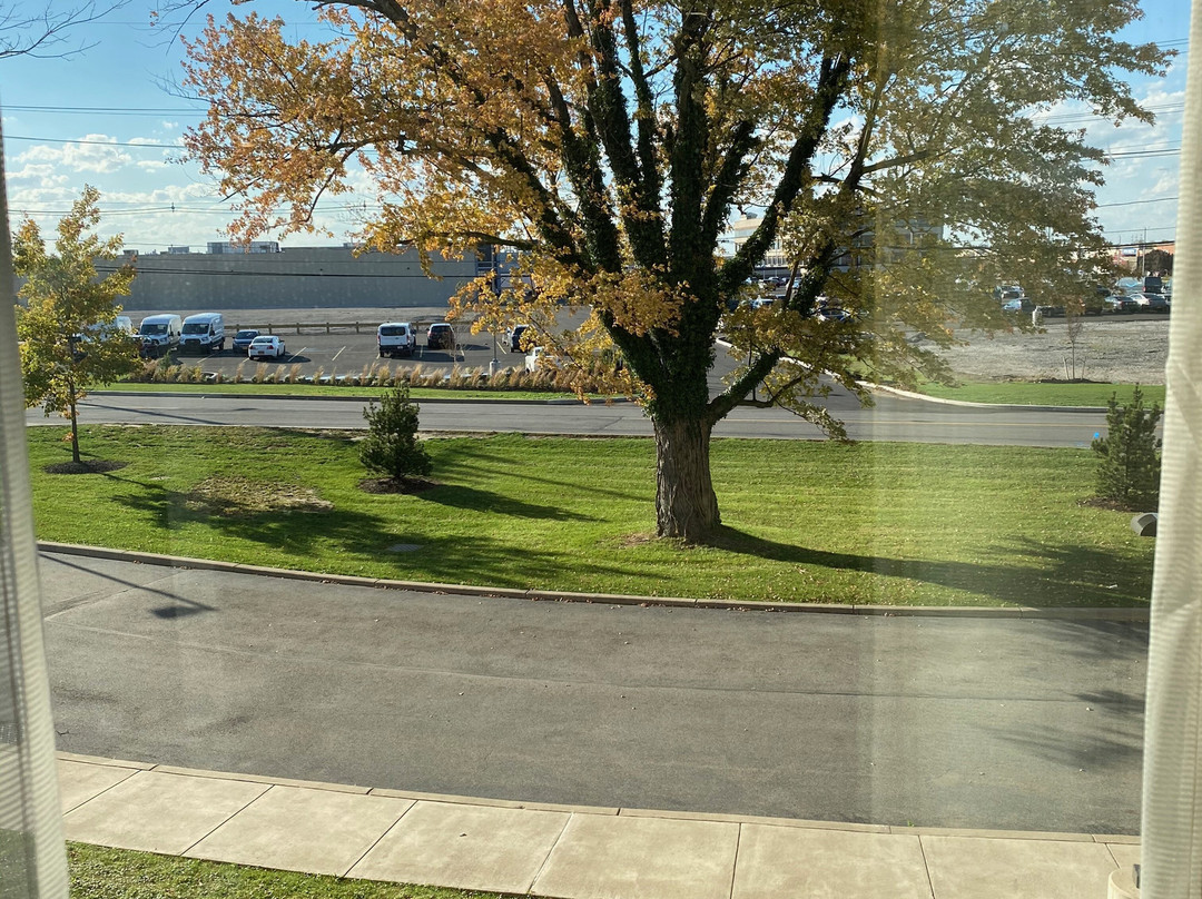 Hampton Inn & Suites Rochester/Henrietta主图