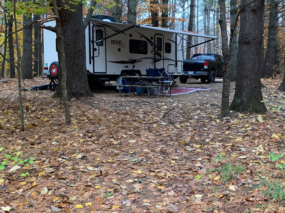 Branch Brook Campground