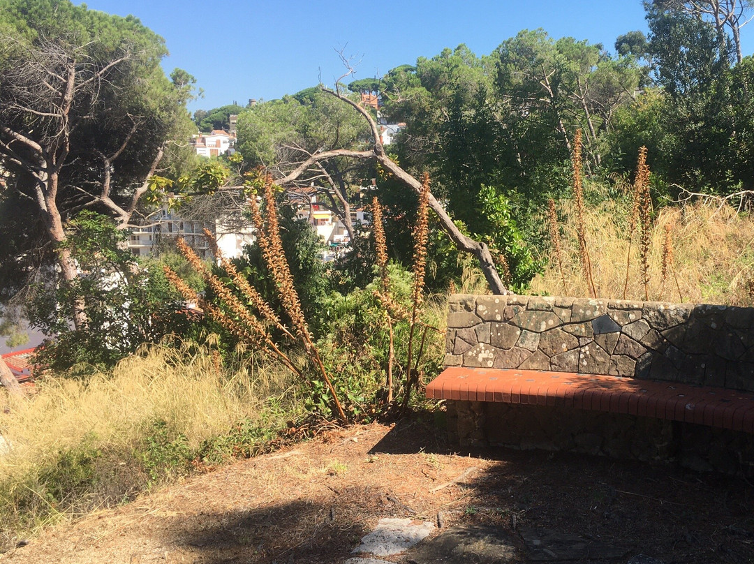 Parc de Can Muntanyà-Caldes d'Estrac必去景点