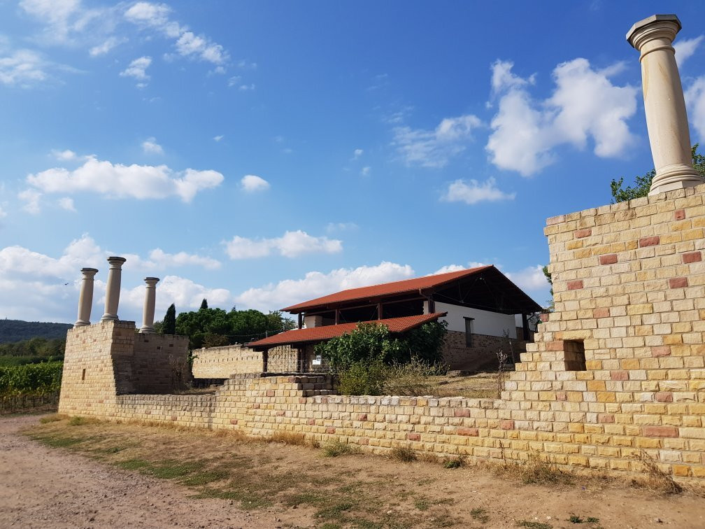 Römisches Weingut Weilberg景点图片