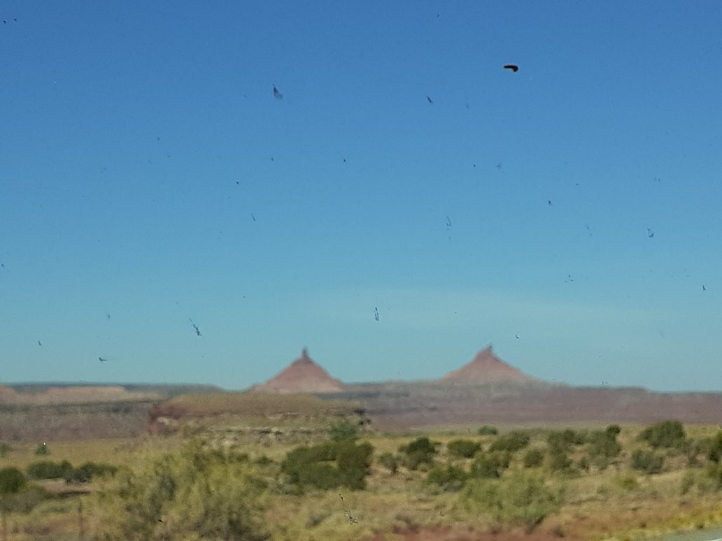 Road to Needles District-莫阿布必去景点