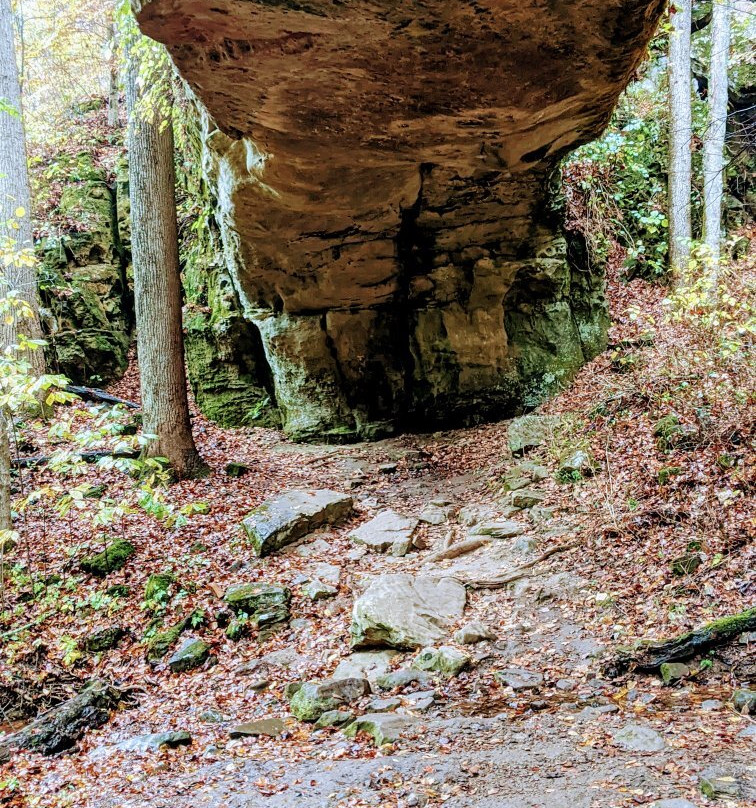 Pomona Natural Bridge景点图片