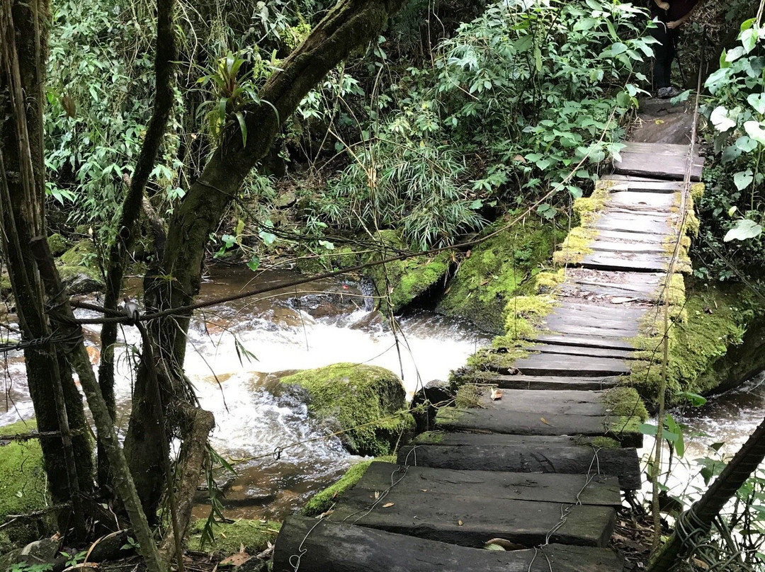 Cocoratours Valle de cocora-萨伦托必去景点