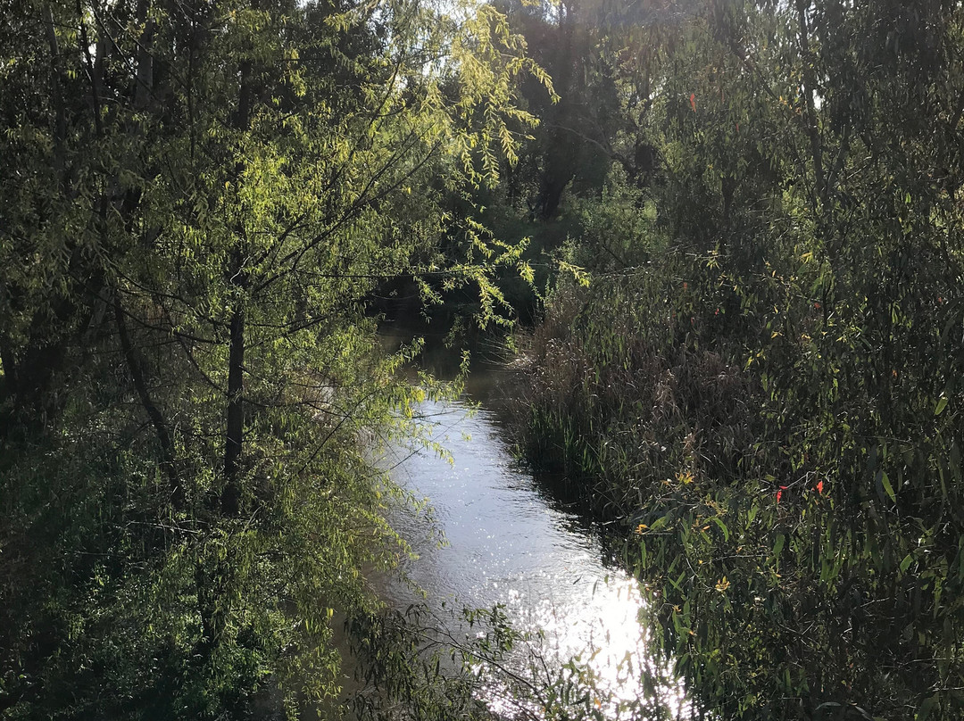 Rotary Park-Myrtleford必去景点