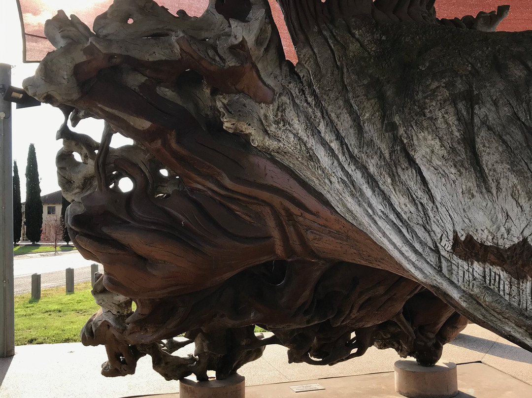 The Phoenix Tree-Myrtleford必去景点