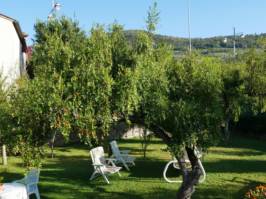 Al Borgo di Arquà Petrarca主图
