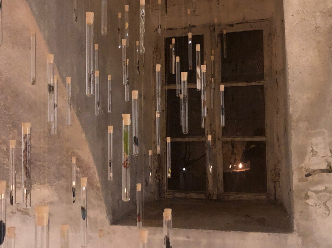 Il Bosco Delicato