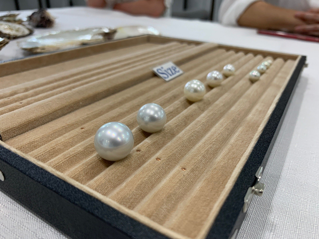 Broken Bay Pearl Farm景点图片