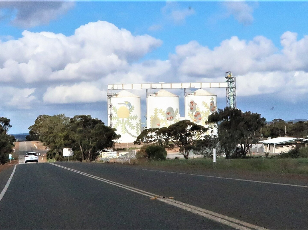 Ravensthorpe Silo Art-Ravensthorpe必去景点