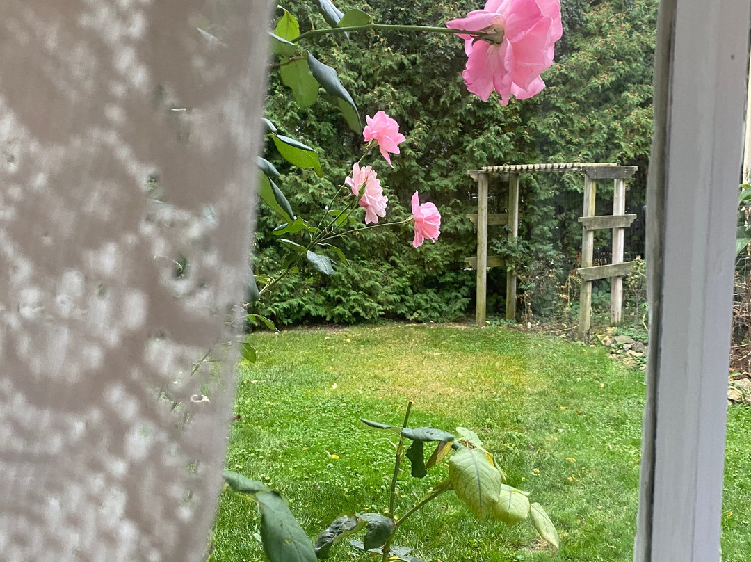 Ashley's Island House主图