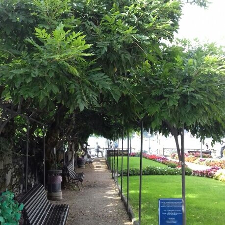 Villa Bossi景点图片
