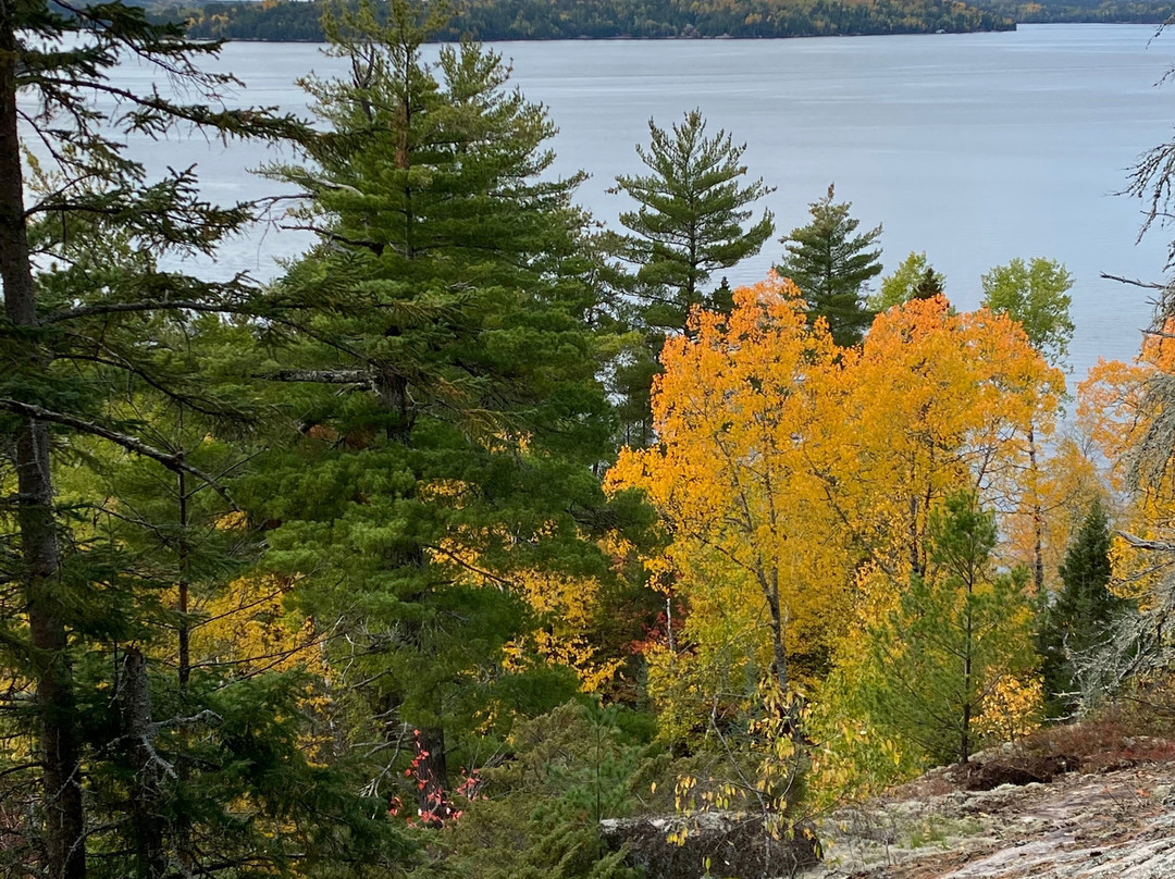 Nelson's Resort主图