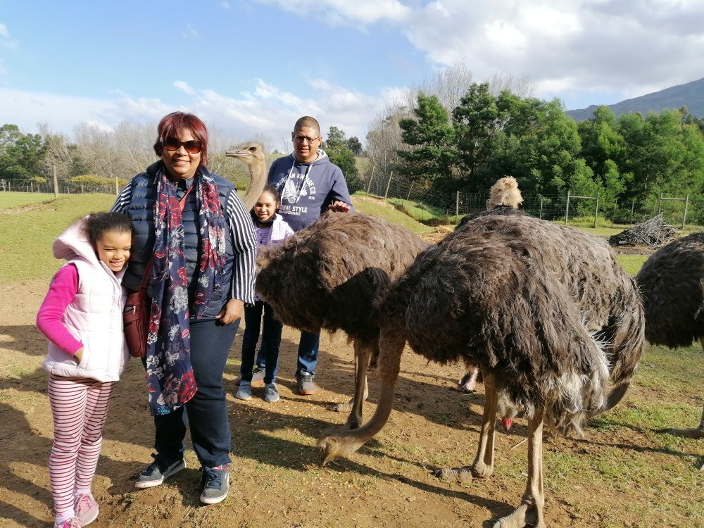 EnzoKuhle South Africa-Cape Point必去景点
