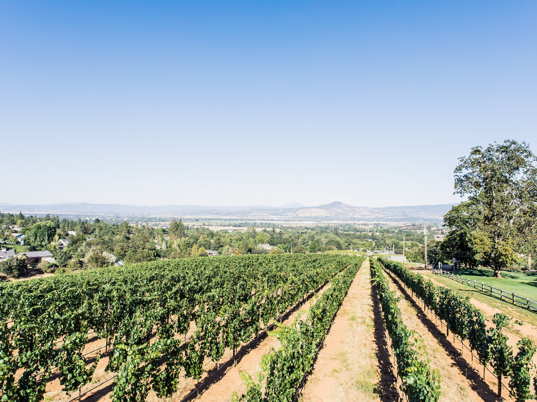 Hummingbird Estate主图