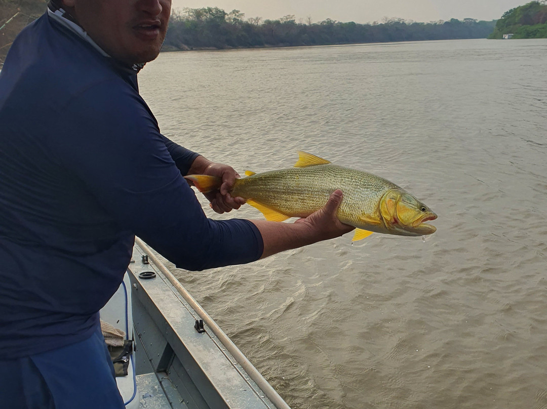 Pousada Itaicy Pantanal主图