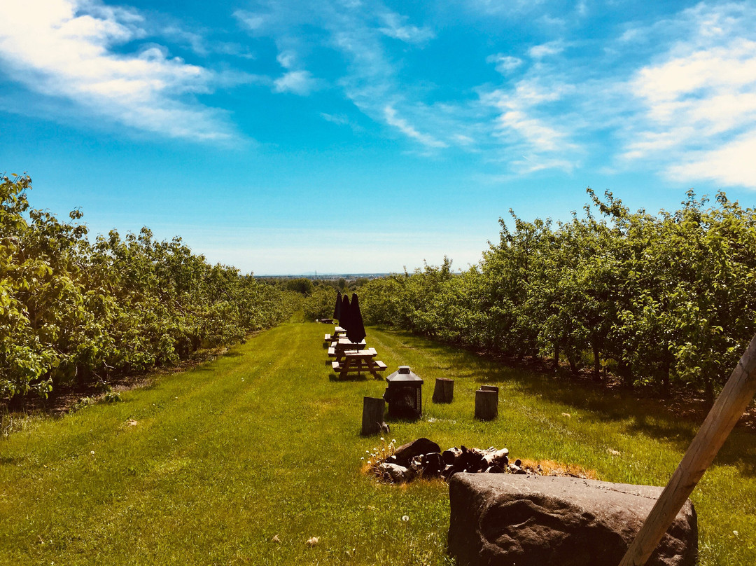 Domaine Cartier-Potelle-Rougemont必去景点