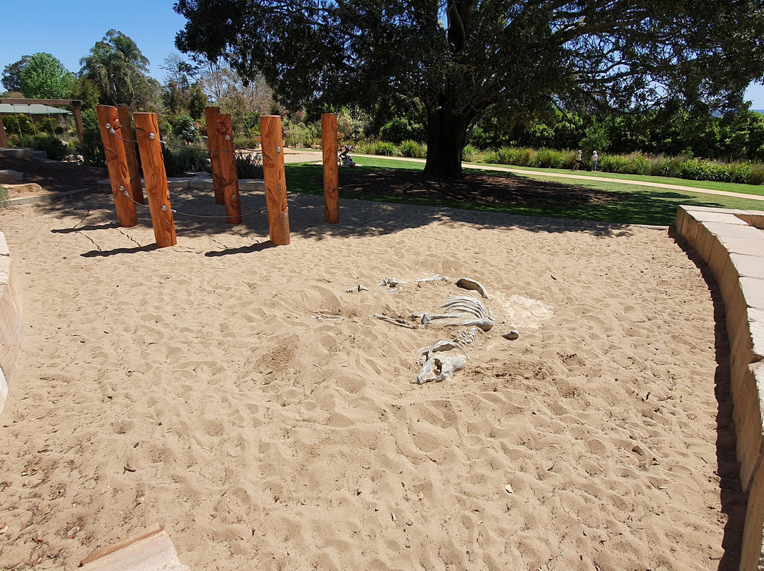 Peacehaven Botanic Park-Highfields必去景点