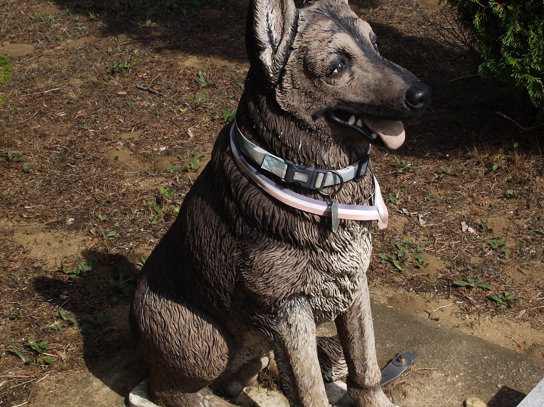 War Dog Memorial景点图片