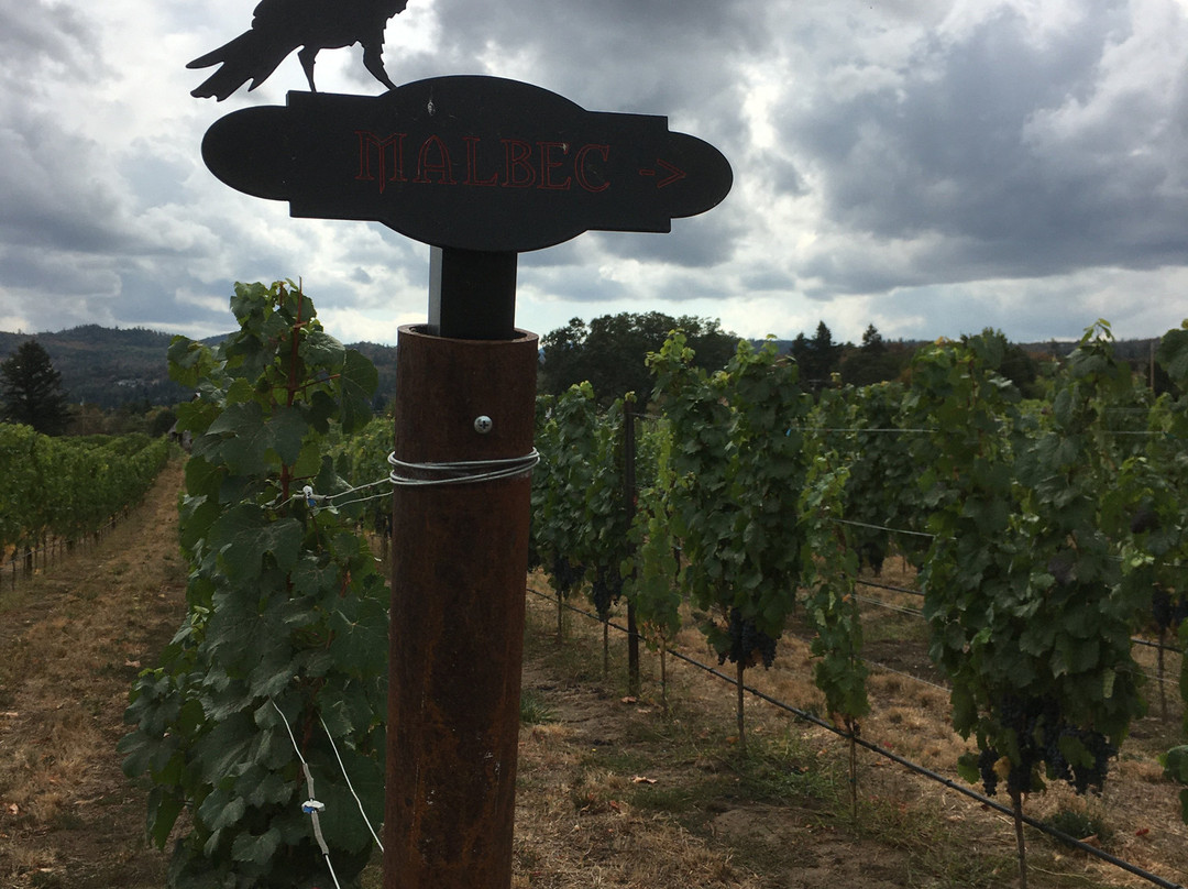 The Rellik Winery-Central Point必去景点