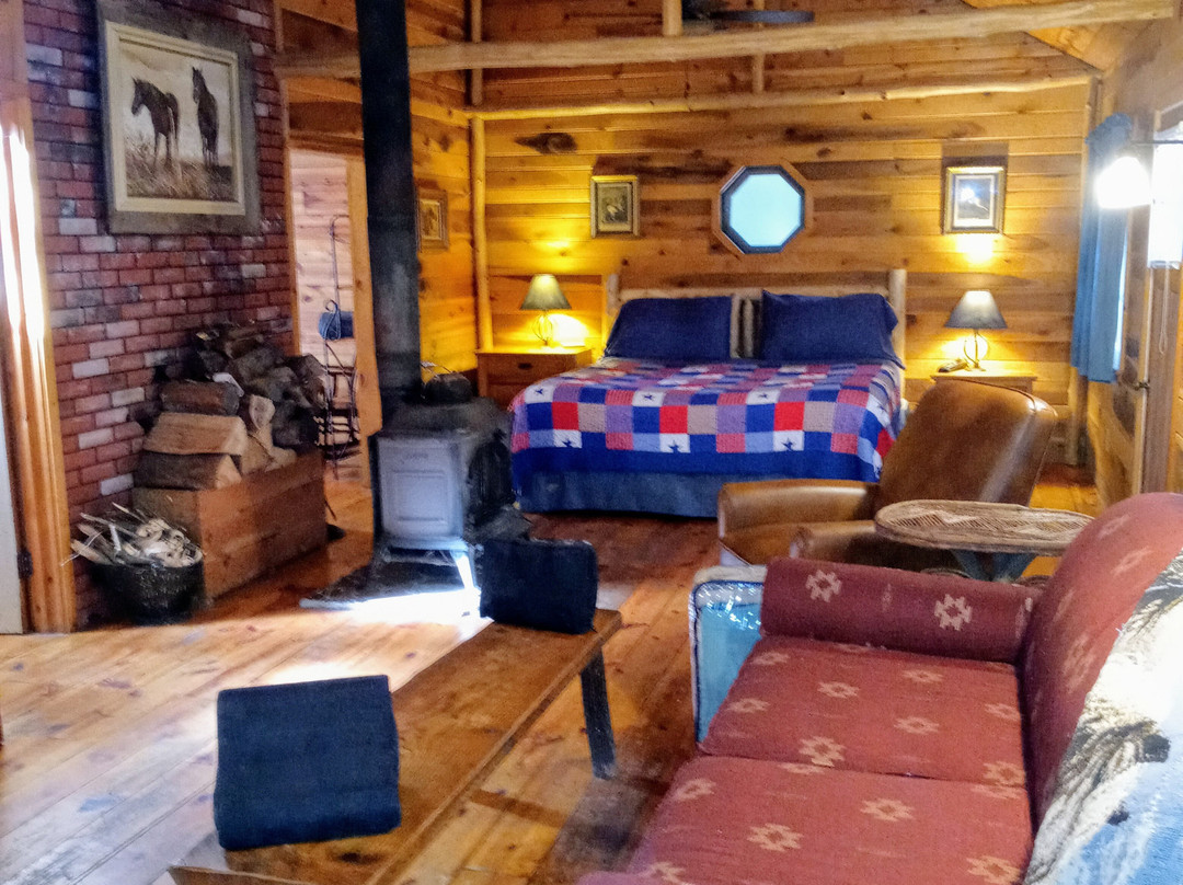 The White Rabbit Inn B&B主图