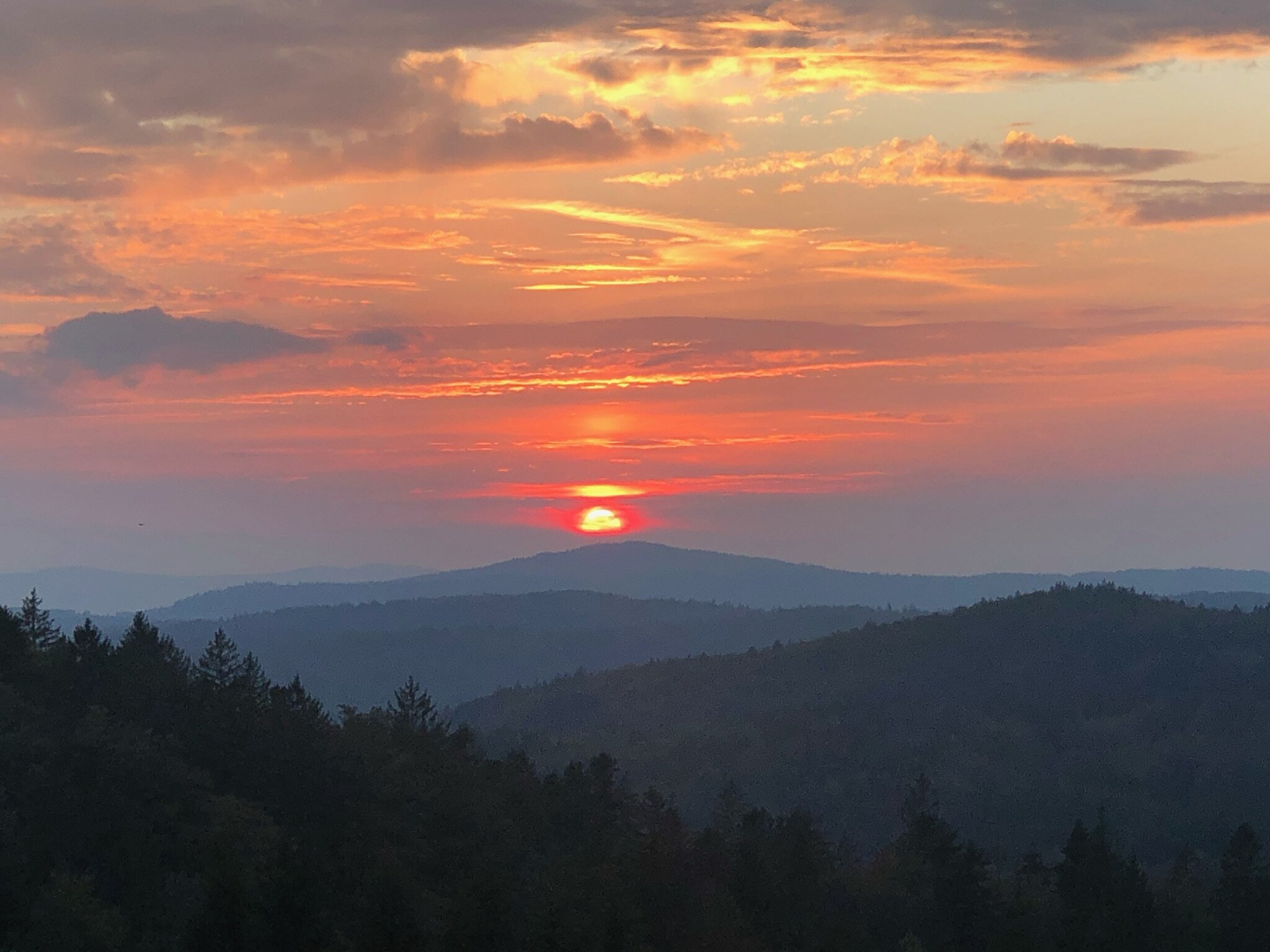 Berggasthof Lusen-餐饮