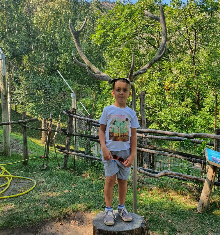 Parco Faunistico Mont Avic-Champdepraz必去景点