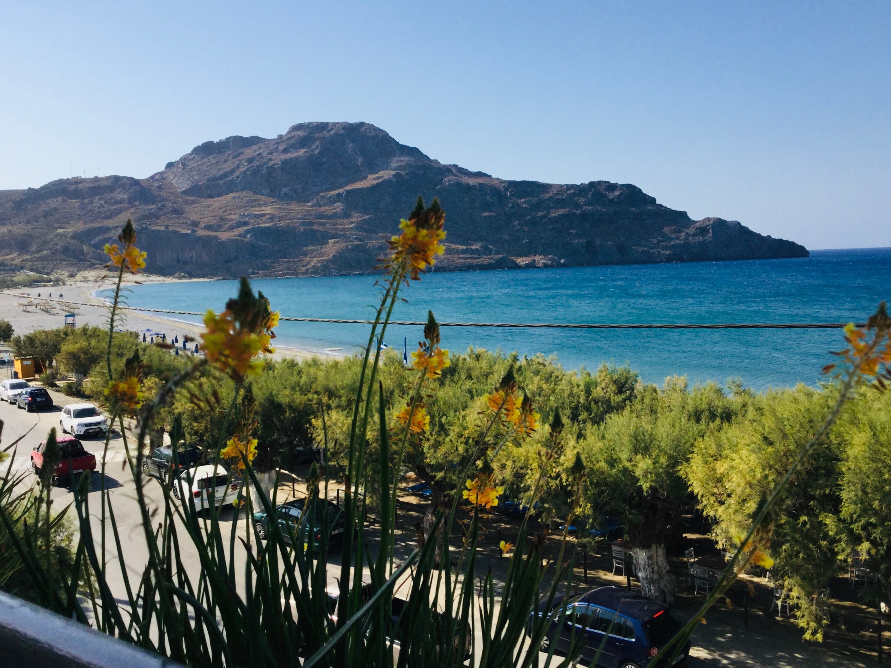Alianthos Beach Hotel-酒店景观