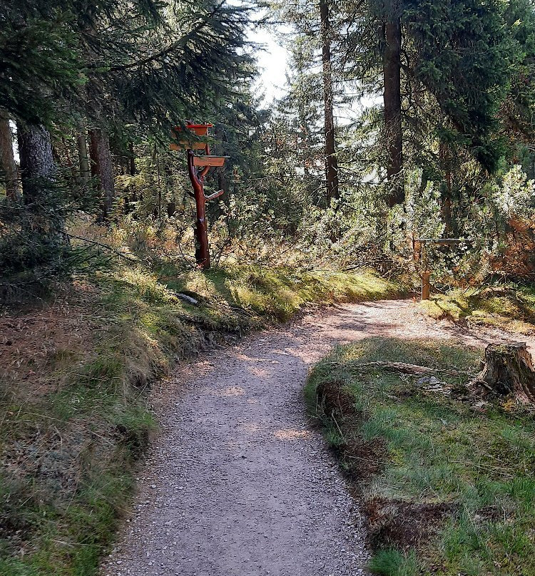 Rennsteiggarten Oberhof-Oberhof必去景点