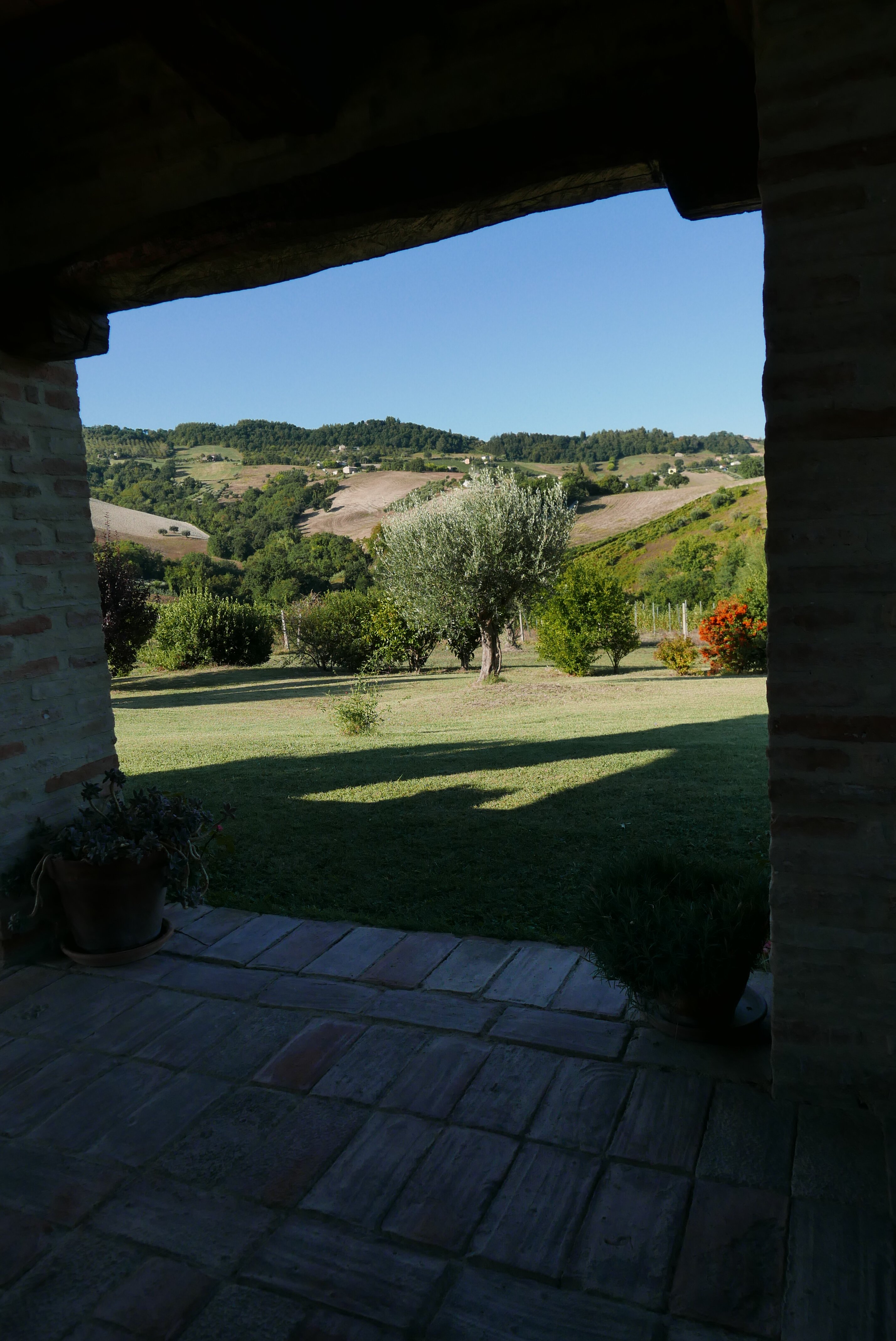 B&B Cascinale La Mimosa-酒店景观