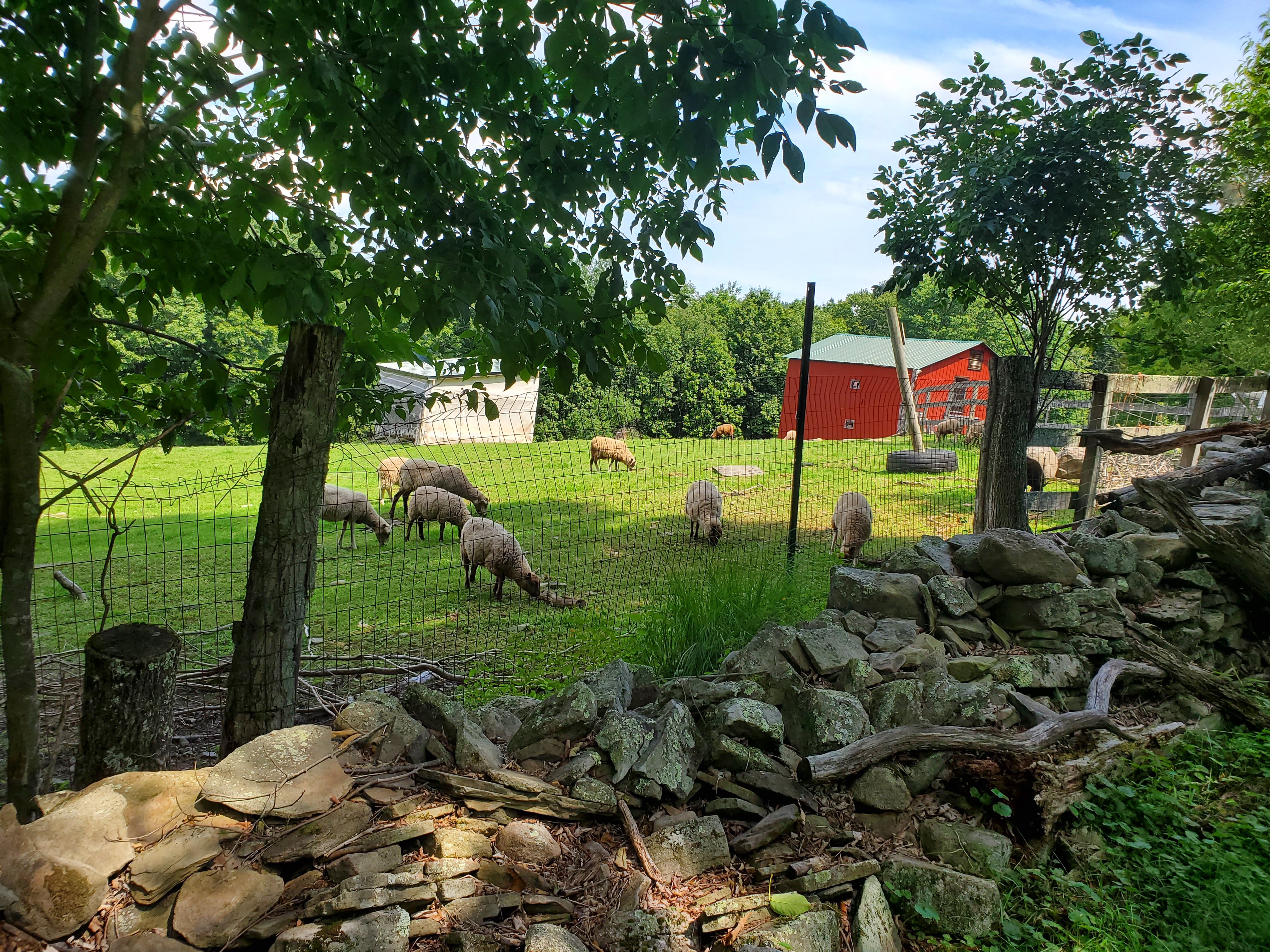 Bethel Pastures Farms Bed & Breakfast-酒店景观