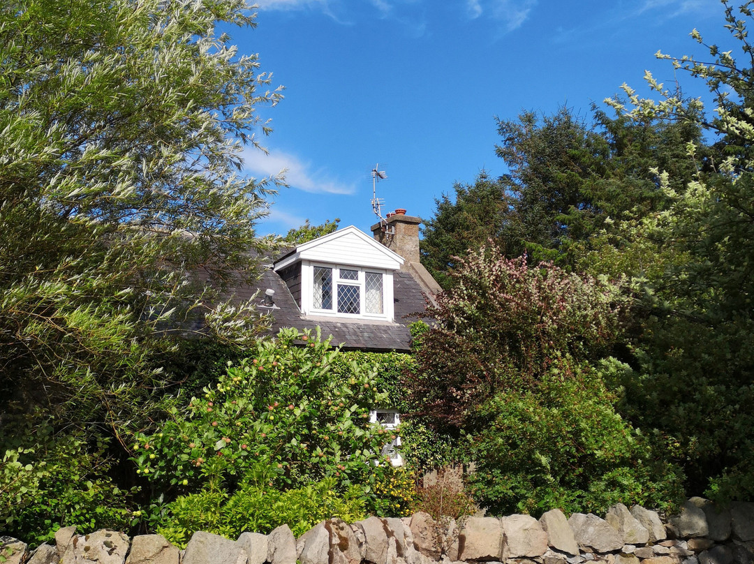 Brandon Lodge Bed and Breakfast主图