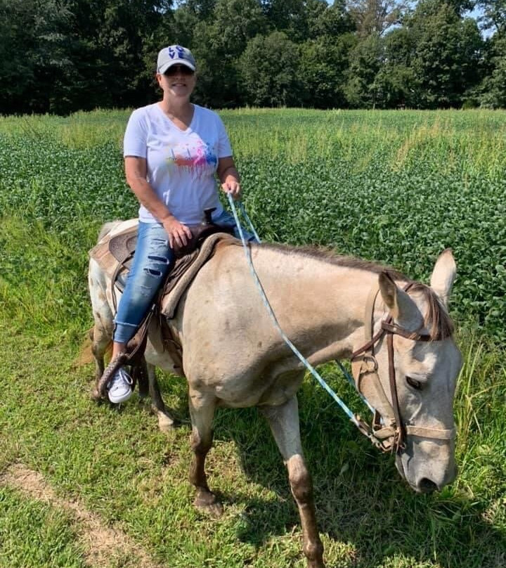 Santa's Stables-圣克劳斯必去景点