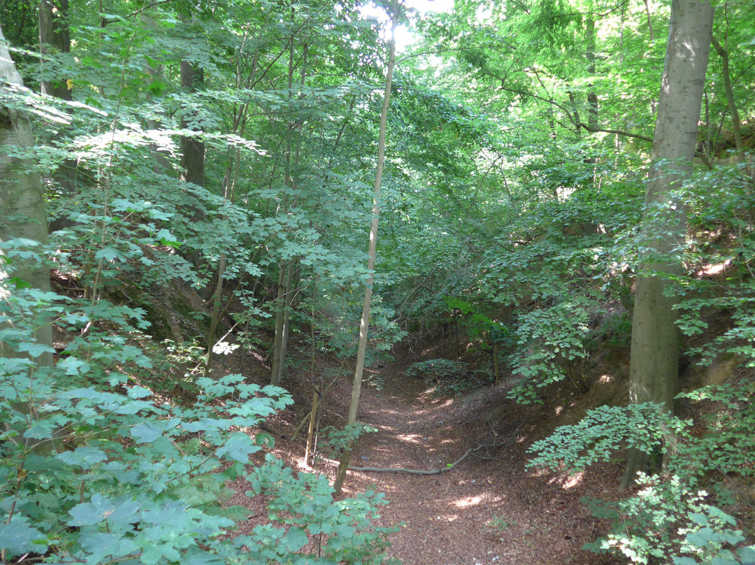 Parc de Wolvendael-于克勒必去景点