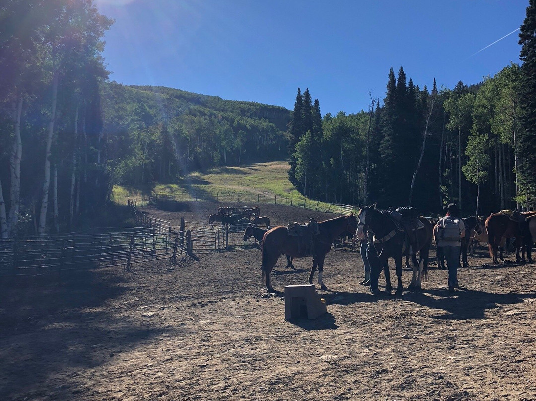 Beaver Creek Stables-比弗河必去景点