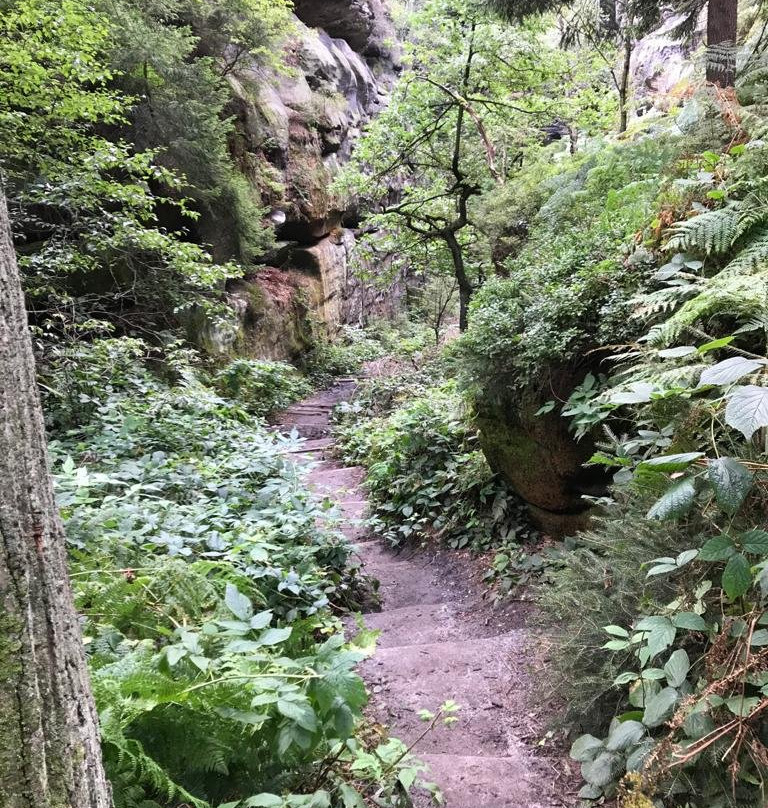 Elbe Sandstone Mountains-巴特尚道必去景点
