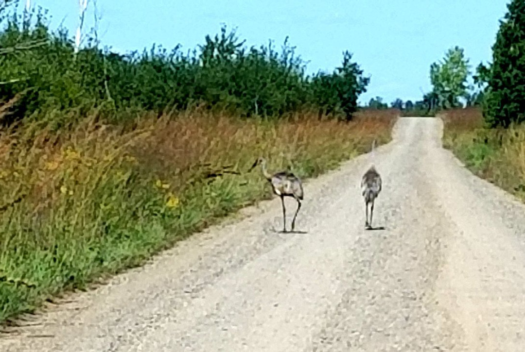 Sherburne National Wildlife Refuge景点图片