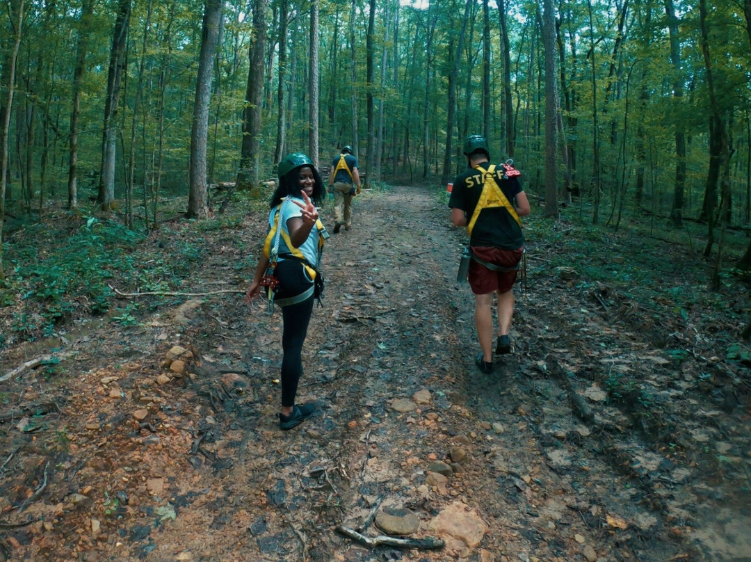 The Vision Zip Line Tour-亨茨维尔必去景点