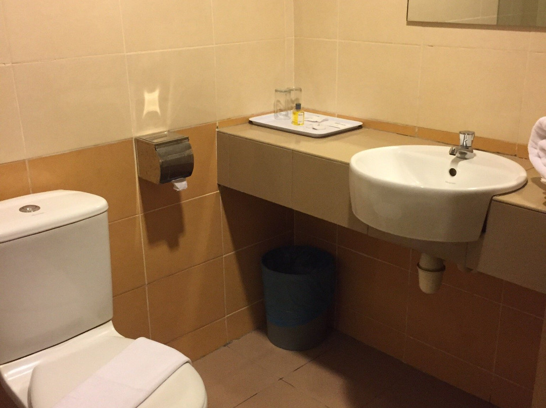 斯里沃瑞桑丽晶大酒店主图