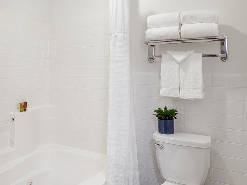 艾尔斯套房酒店 – 湖林主图