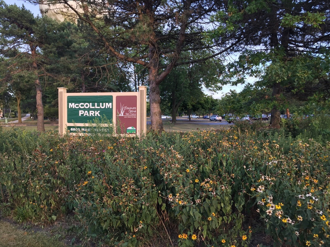 McCollum Park景点图片