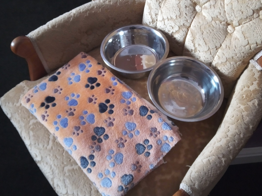 The Black Horse Hotel主图