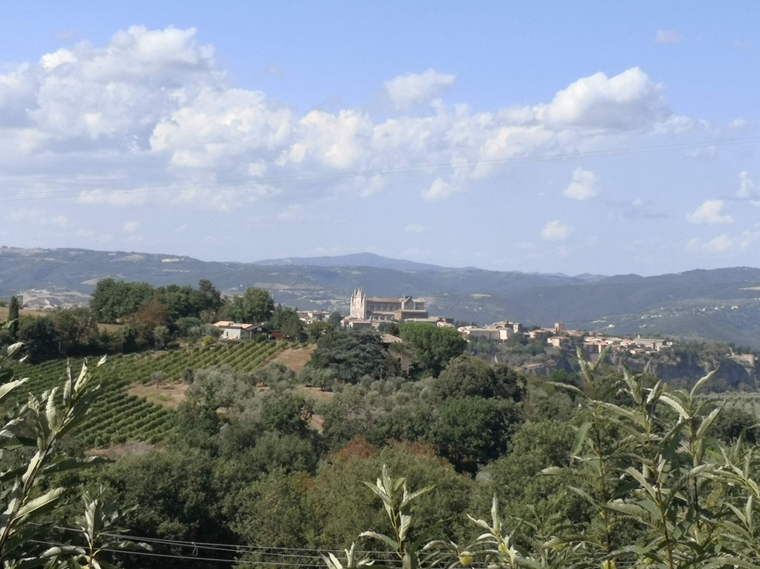 Fattoria La Cacciata主图