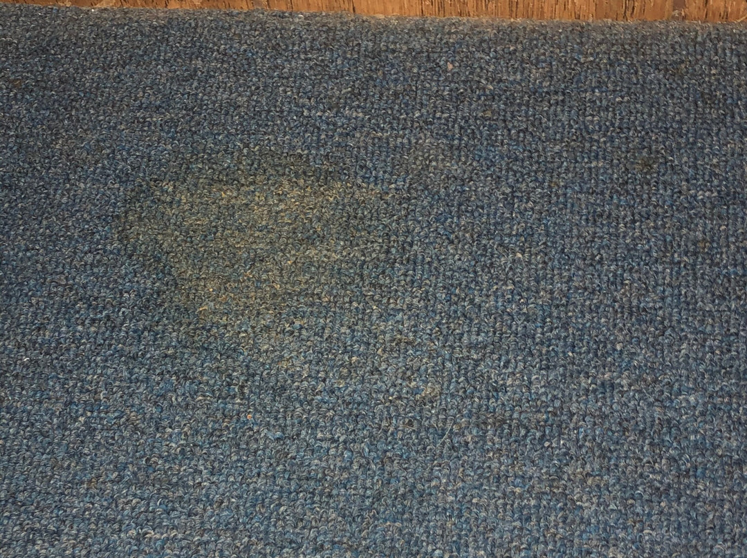 Tal-WI-WI Lodge主图