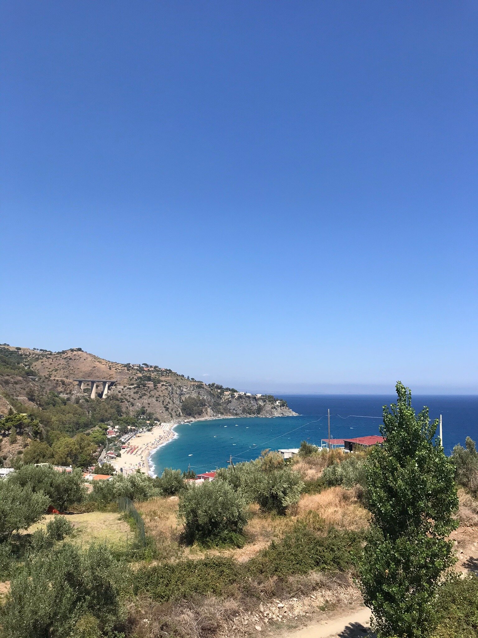 Baia dell'Est-官方