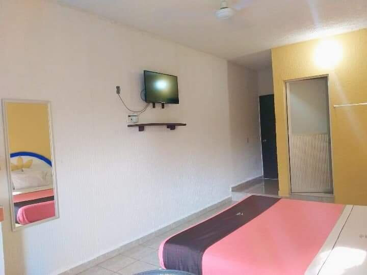 Hotel San Carlos主图