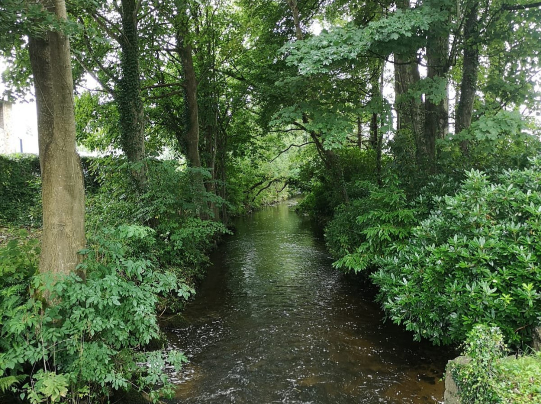 Parc Glynllifon景点图片