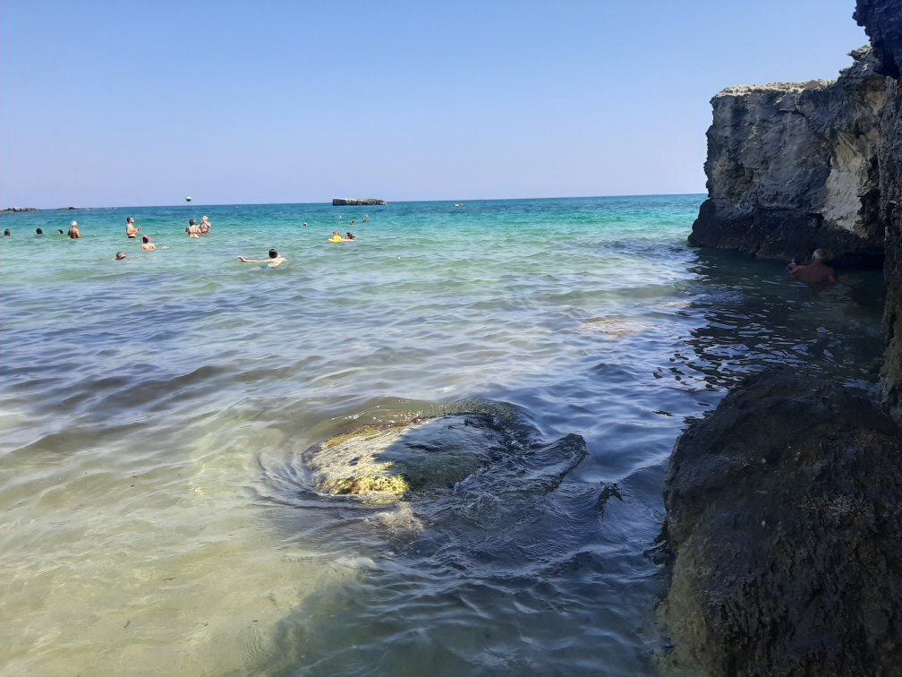 B&B Neptunia Fronte Mare主图