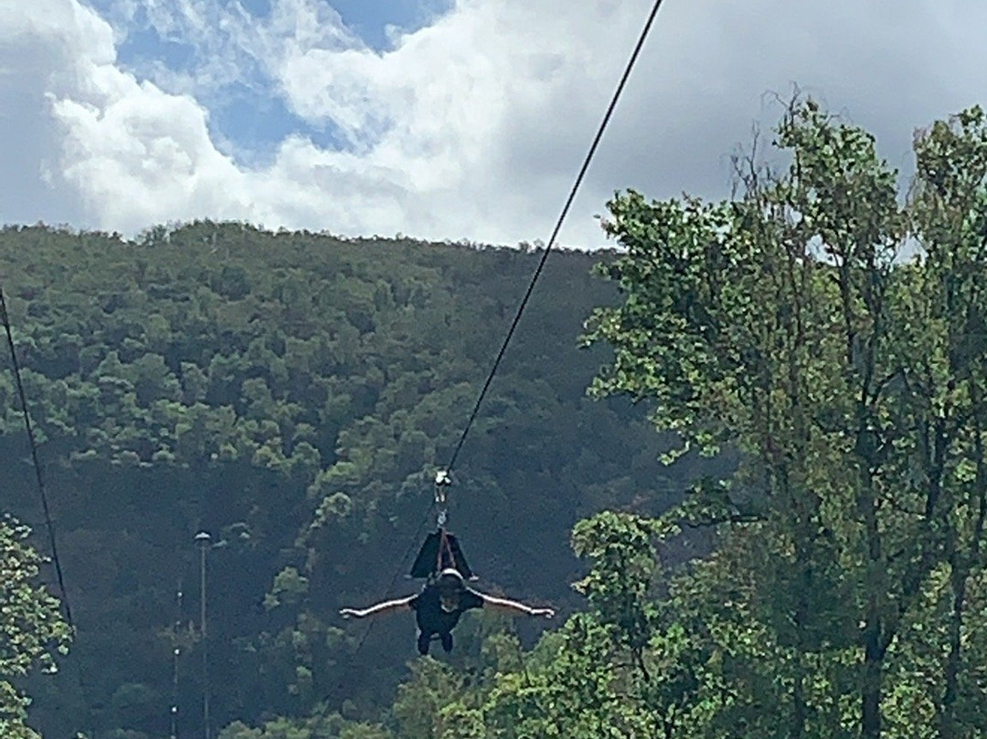 Terraltitude Adventure Park景点图片