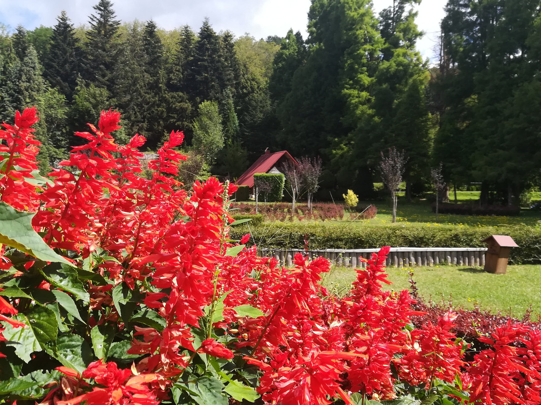 Parco Di Villa Vittoria景点图片
